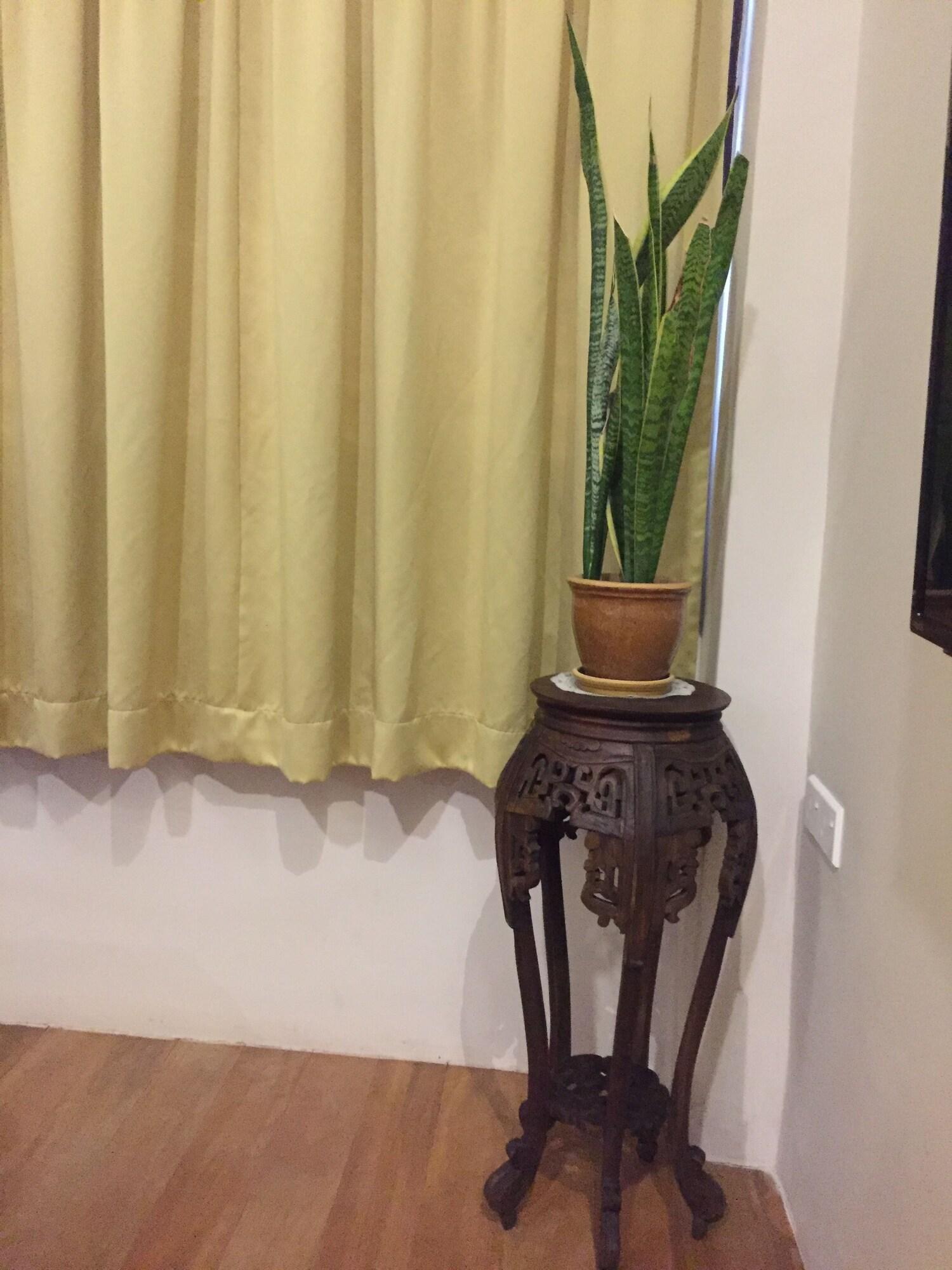 Palm Boutique 3*
