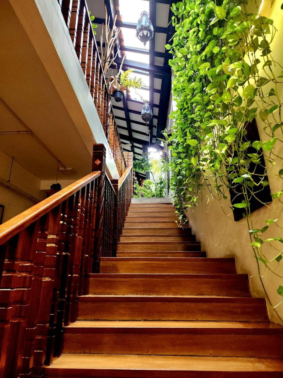 Hotel Palm Boutique 3*