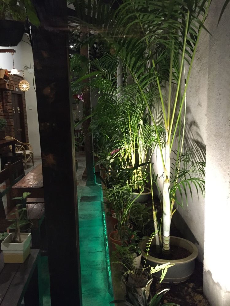 Hotel Palm Boutique