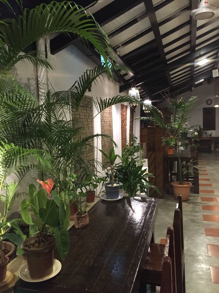 Hotel Palm Boutique 3*